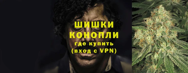 прущие грибы Богданович