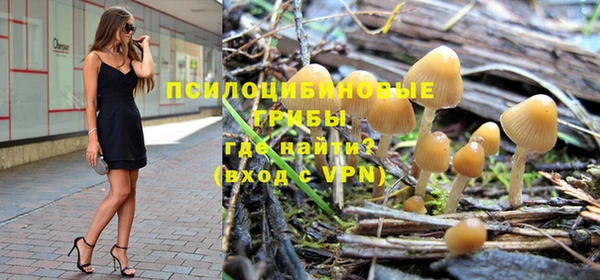 а пвп мука Белокуриха