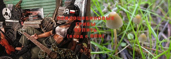 а пвп мука Белокуриха
