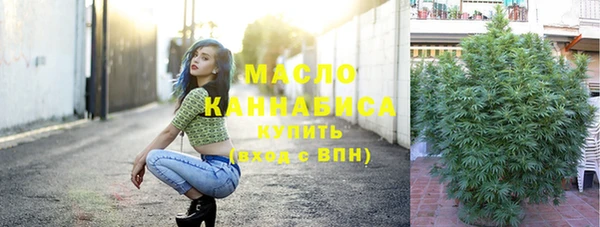прущие грибы Богданович